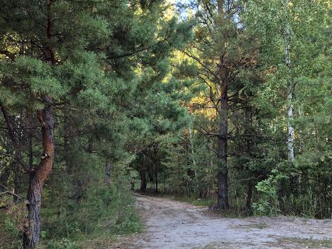 будинок за адресою Бузкова