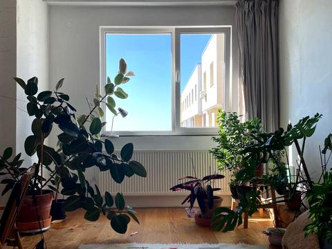 квартира за адресою Угорська вул., 14а