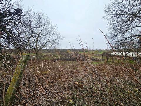 будинок за адресою Софиевская, 146