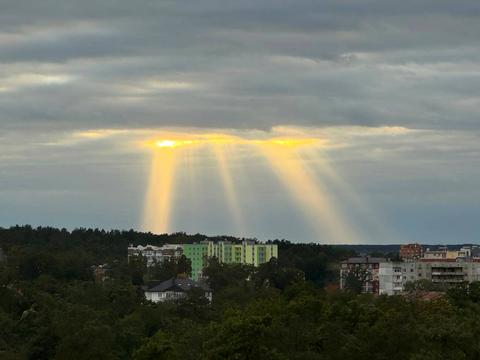 квартира за адресою Павленка вул., 56