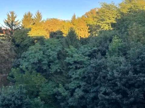 квартира по адресу Бойковская ул., 1