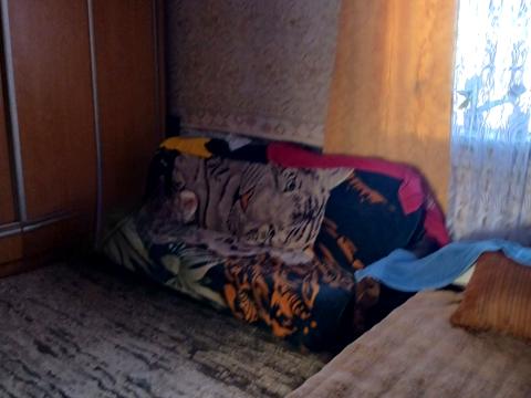 будинок за адресою Централна