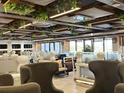 коммерческая по адресу с. Софиевская борщаговка, провулок Чорновола, 20