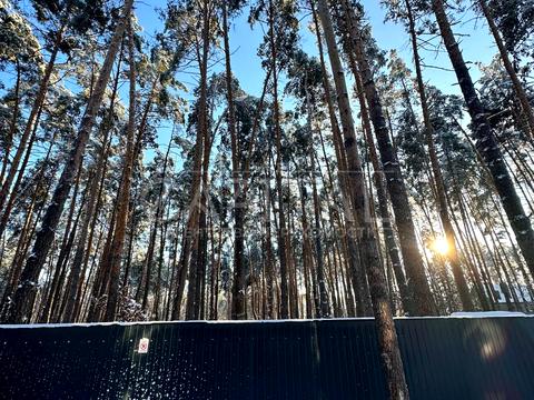 дом по адресу Гоголя ул.