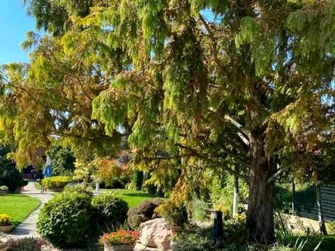 дом по адресу Бучанський