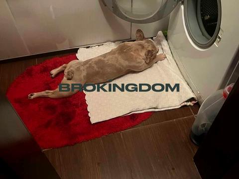 квартира за адресою Шевченка просп., 2-Г