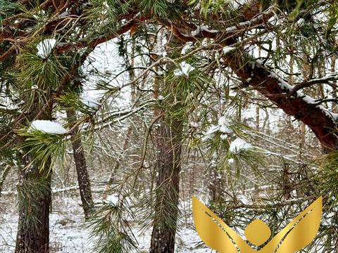 ділянка за адресою Кропивницький, 