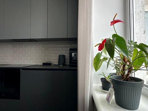 квартира за адресою Левітана вул., 67