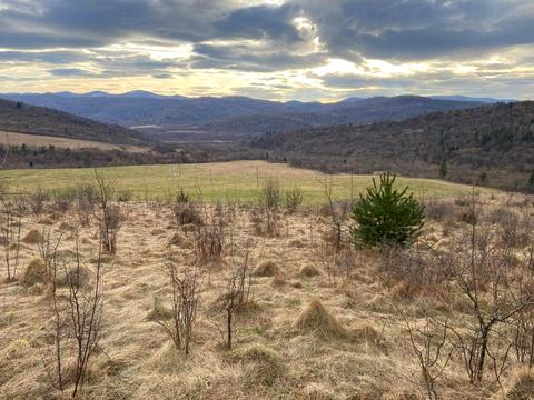 ділянка за адресою Шевченка, 3