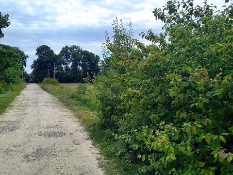 участок по адресу 