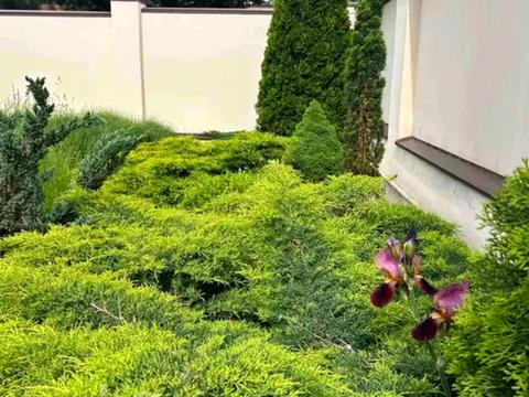 будинок за адресою Харків, провулок Вишневий