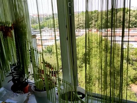 квартира за адресою Симиренка вул., 18-А