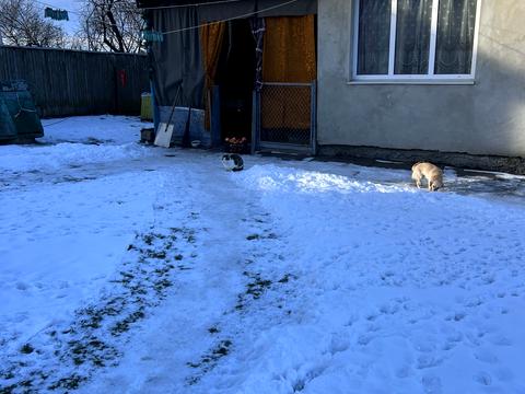 будинок за адресою центральна, 12