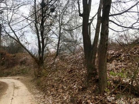 участок по адресу тираспільська