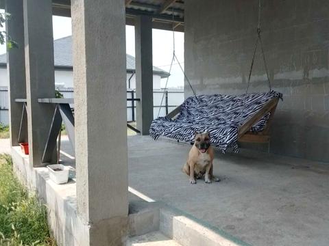 будинок за адресою Петропавловська, 21