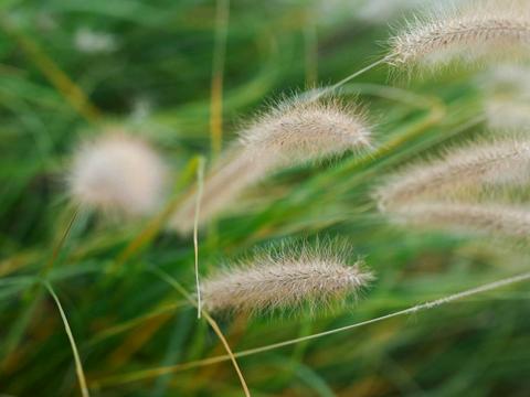 будинок за адресою Концівська вул., S133