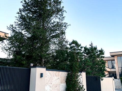 будинок за адресою с. Сокільники, Затишка