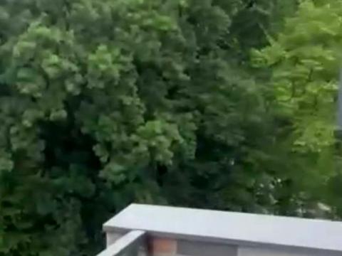 квартира за адресою Лісна, 4