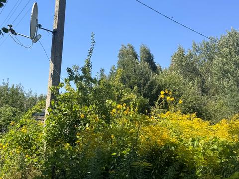 ділянка за адресою Миру