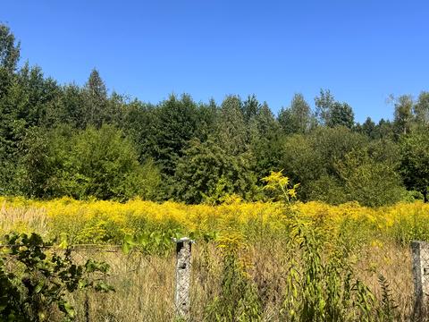 участок по адресу Миру