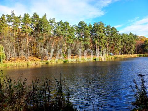 квартира за адресою Голосіївський просп. (40-річчя Жовтня), 76