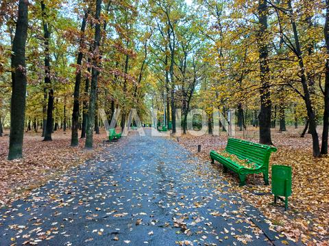 квартира за адресою Голосіївський просп. (40-річчя Жовтня), 76