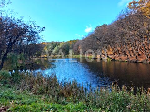 квартира за адресою Голосіївський просп. (40-річчя Жовтня), 76