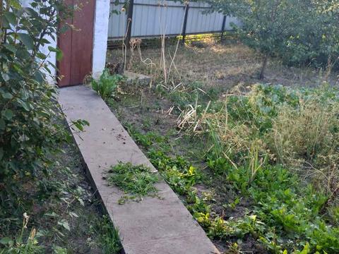 дом по адресу пгт. Яворницкое (Илларионово), Волошкова