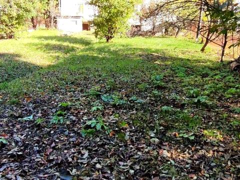 будинок за адресою с. Чишки, Карпатська