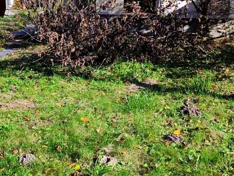 будинок за адресою с. Чишки, Карпатська