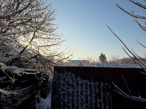 участок по адресу Центральная ул., 177