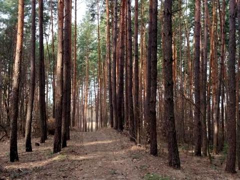 будинок за адресою Київська