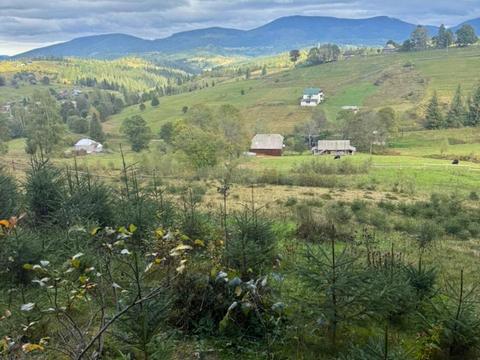 ділянка за адресою 