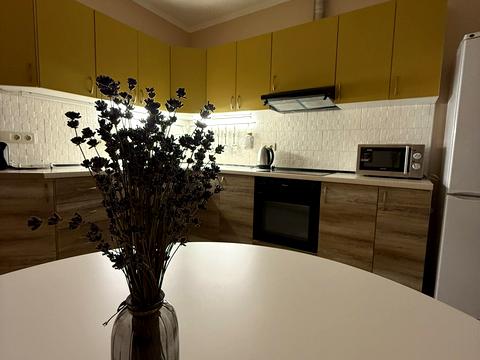 квартира за адресою Самійла Кішки вул. (Маршала Конєва), 10/1