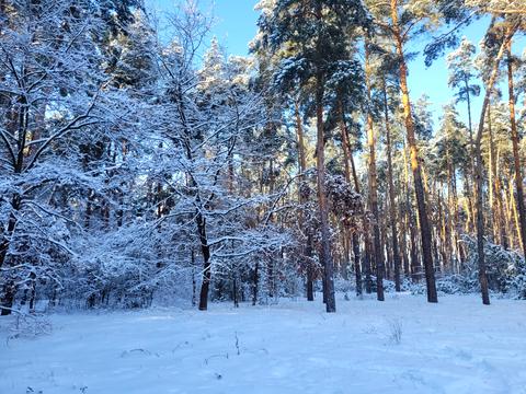 ділянка за адресою Івана Франка вул.