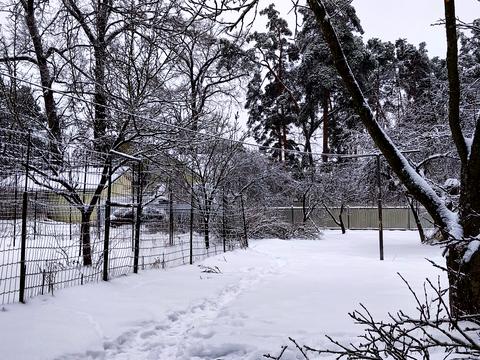 ділянка за адресою Києво-Мироцька вул., 44