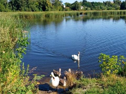 будинок за адресою Київський провулок