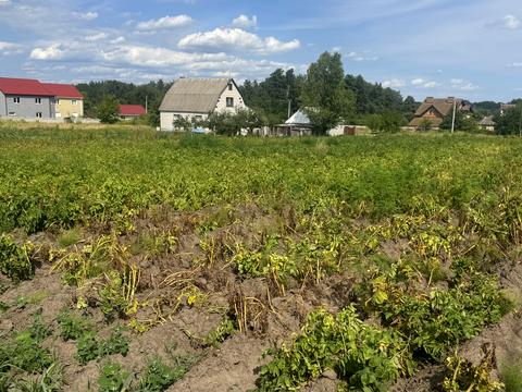 ділянка за адресою Фастівська