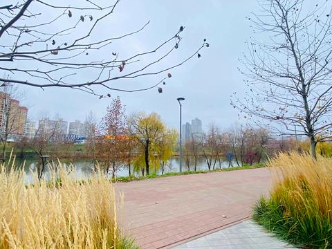 квартира за адресою Драгоманова вул., 31-А