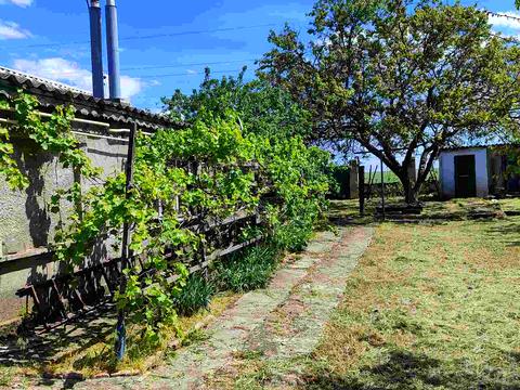 будинок за адресою Шевченко, 1