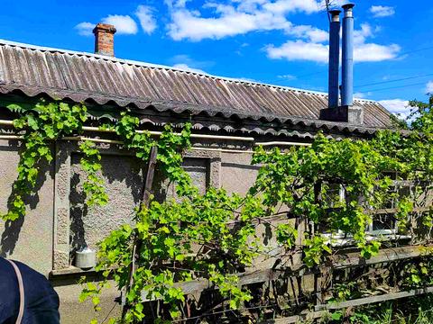 будинок за адресою Шевченко, 1