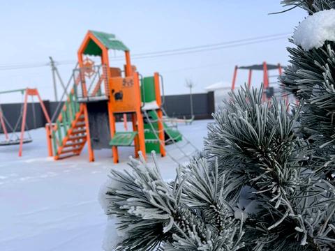 будинок за адресою Чекмана