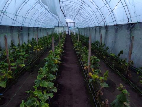 будинок за адресою смт. Аули, Сірка, 9