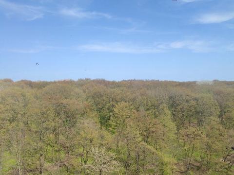 квартира по адресу Лісогринівецька ул., 16/1