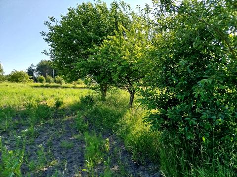 ділянка за адресою с. Медвеже Вушко, 