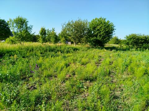 ділянка за адресою с. Медвеже Вушко, 