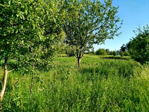 ділянка за адресою с. Медвеже Вушко, 