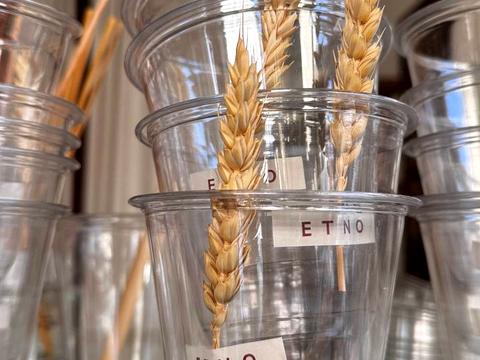 коммерческая по адресу Літературна ул. (Чехова), 7/1