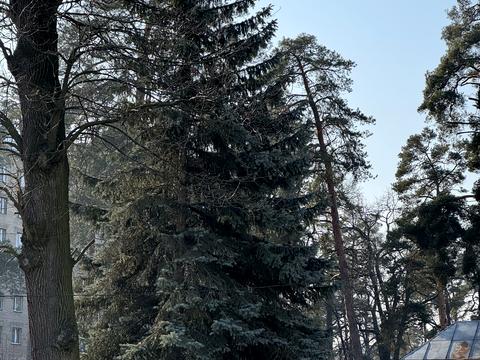 будинок за адресою Ніжинська вул., 3