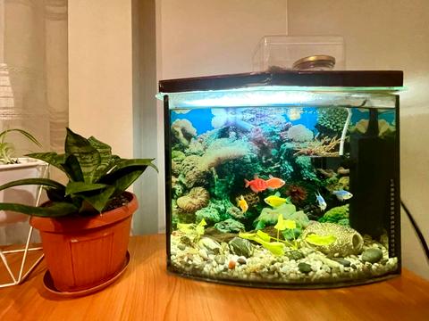 квартира за адресою Черкаси, Сінна вул. (Добровольського), 20